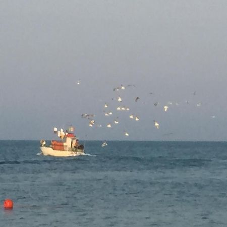 Mansarda Mare Lägenhet Altidona Exteriör bild